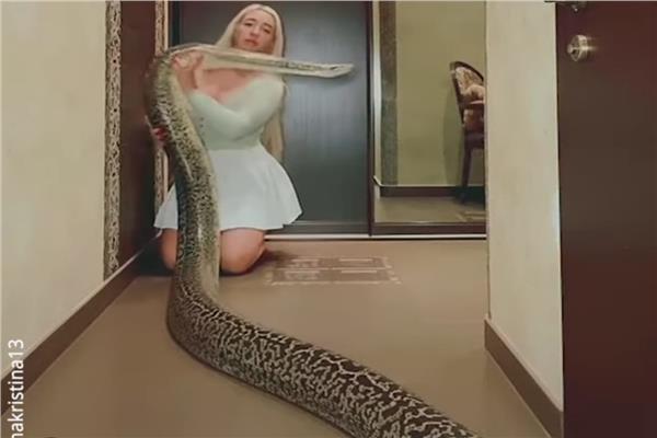 صورة من الفيديو