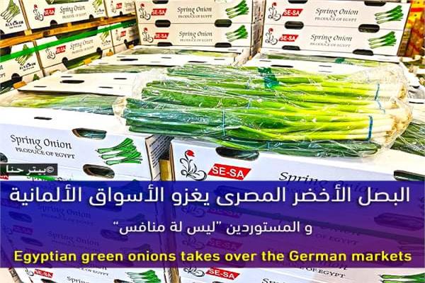 مستوردى الحاصلات الزراعية 