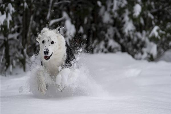 صورة تعبيرية