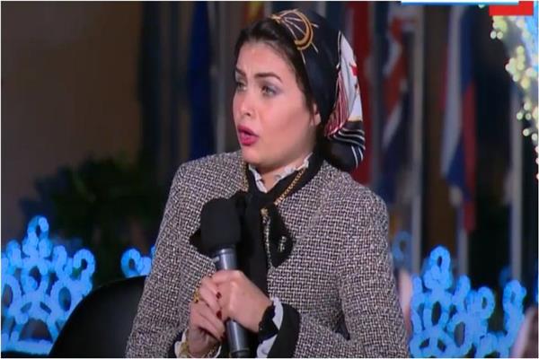 مي الصيرفي أستاذ القانون بالأكاديمية البحرية