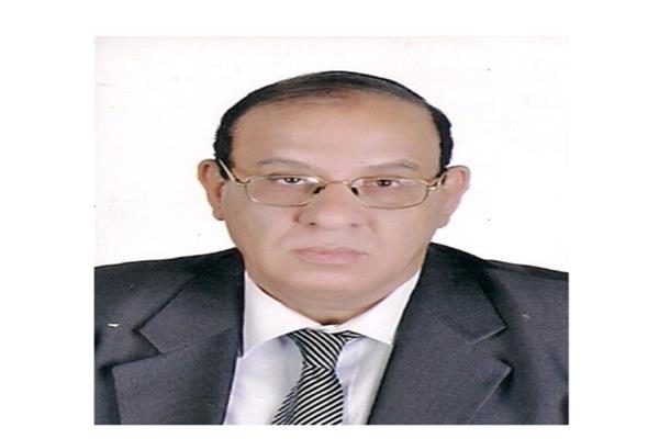  المهندس عمرو لاشين، مستشار وزيرة التضامن