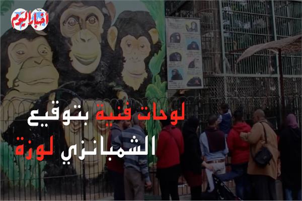 الشمبانزى لوزة