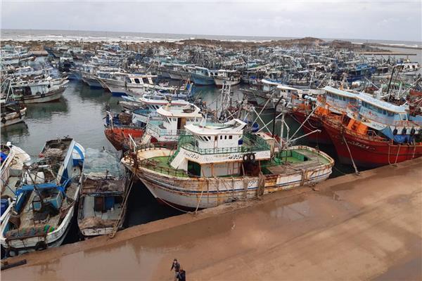 صور موضوعية