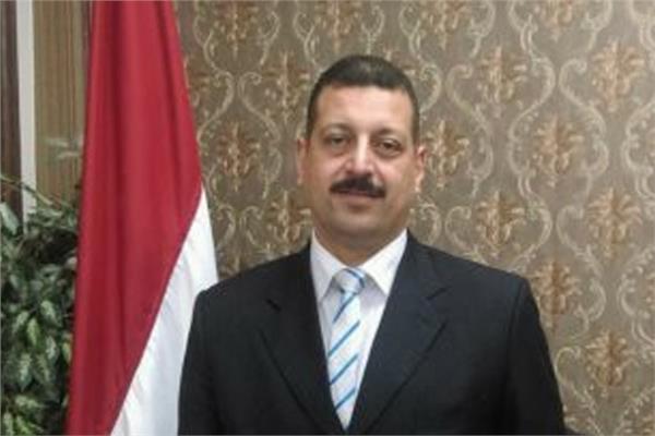 الدكتور أيمن حمزة المتحدث الرسمي باسم وزارة الكهرباء 
