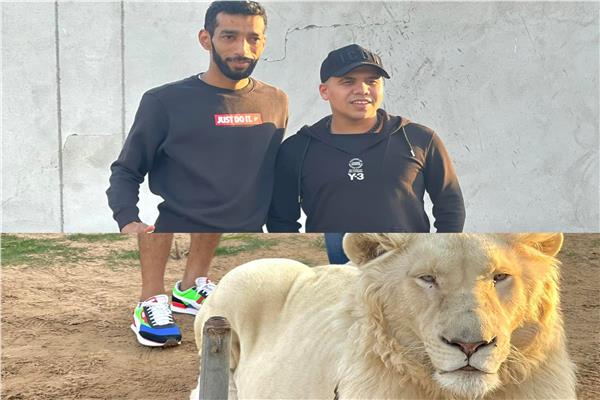عمر كمال
