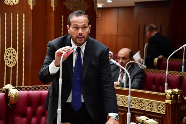 النائب محمد حلاوة