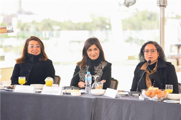جهود مكثفة لوزارة الدولة للهجرة والجالية المصرية في أفريقيا لتنمية القارة السمراء  