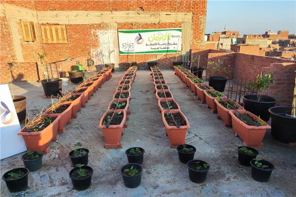  مديرية التضامن بالغربية
