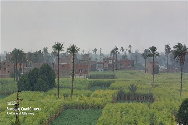 محافظة قنا