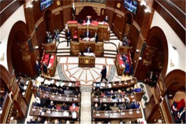 مجلس الشيوخ