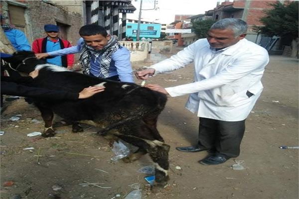  قافلة  بيطرية لقرية غزالة مركز الزقازيق