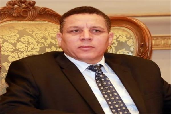 النائب احمد محسن، عضو مجلس الشيوخ