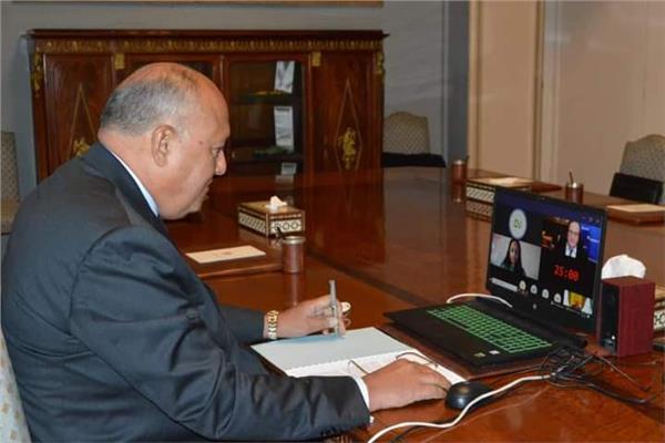 شكري يشارك في جلسة افتراضية في إطار أسبوع أبوظبي للاستدامة 