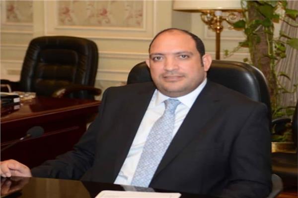  النائب محمد رشاد عثمان، عضو لجنة الزراعة بمجلس الشيوخ