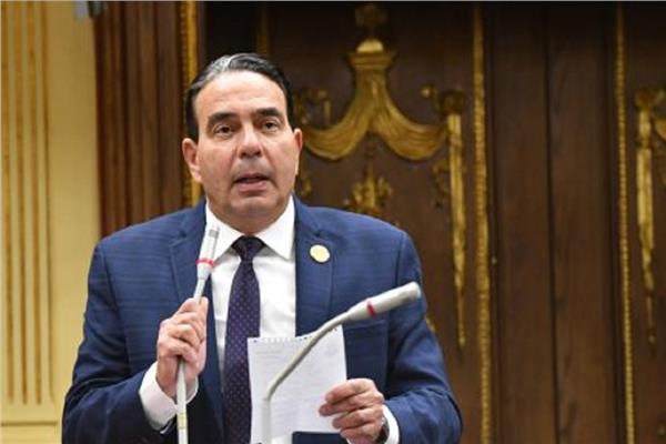 الدكتور أيمن أبو العلا وكيل لجنة حقوق الإنسان بمجلس النواب