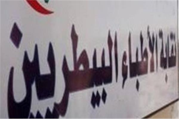 صورة موضوعية