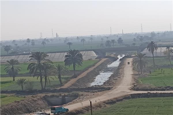 صورة موضوعية