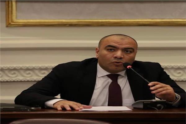 النائب محمد على ابو حجازي