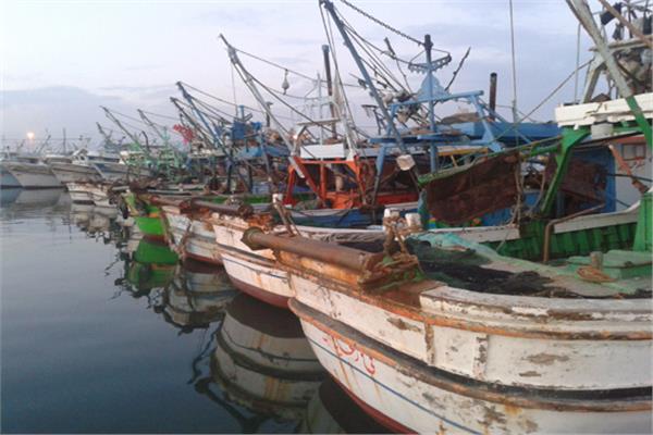 صورة موضوعية