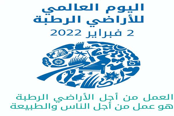 صورة موضوعية