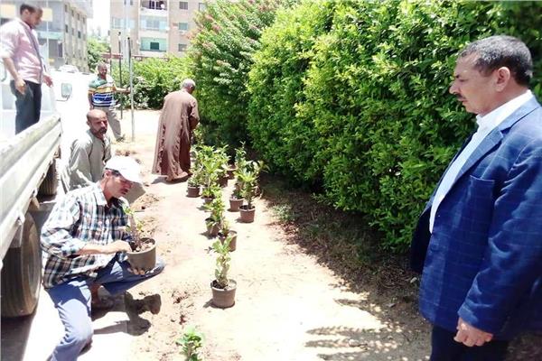  زراعة 1642 شجرة بحي شرق سوهاج 