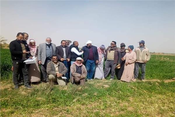 صورة موضوعية