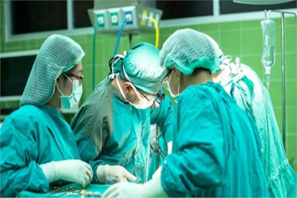 باحثون ألمان يربون الخنازير لإجراء عمليات زرع القلب في الجسم البشري