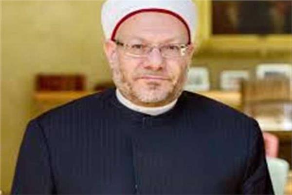 مفتي الجمهورية:  وثيقة المدينة المنورة أسست للمواطنة الكاملة