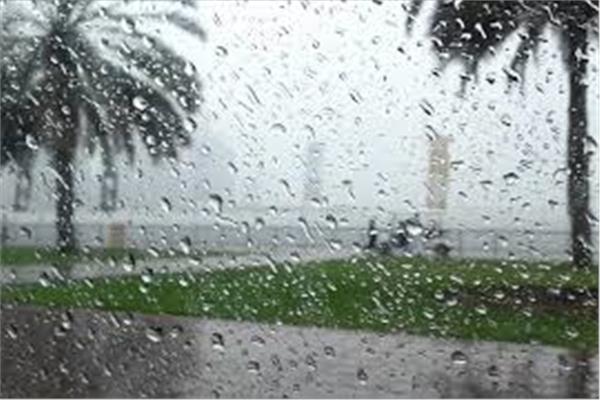 صورة موضوعية