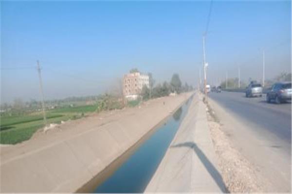 صورة موضوعية