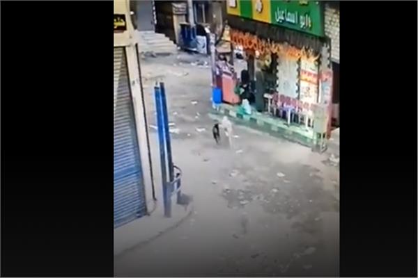 كلب يخطف هدية عيد الحب في المنيا وصديقته تنتظره نهاية الشارع 