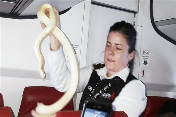 صورة موضوعية