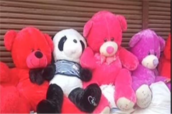 دباديب وورود في عيد العشاق بالمنيا 