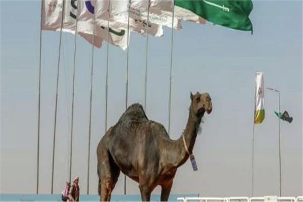 صورة تعبيرية