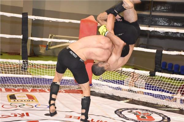 منافسات الفنون المختلطة MMA