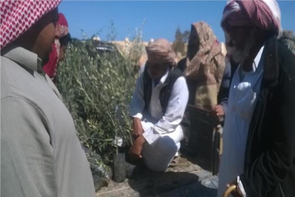 أرشيفية
