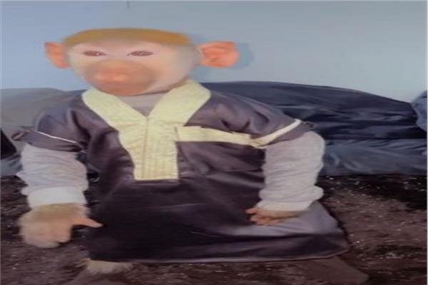 قرد يثير ضجة مواقع التواصل الاجتماعي