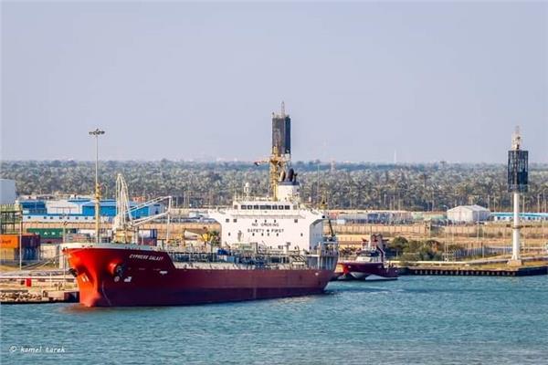 ارشيفية