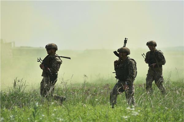صورة أرشيفية