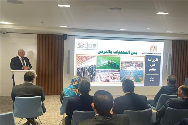 صورة موضوعية