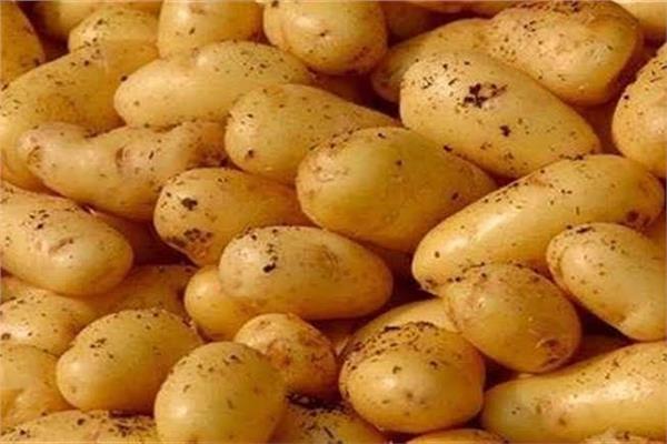 صوره أرشيفية