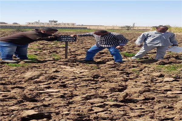 إزالة تعديات