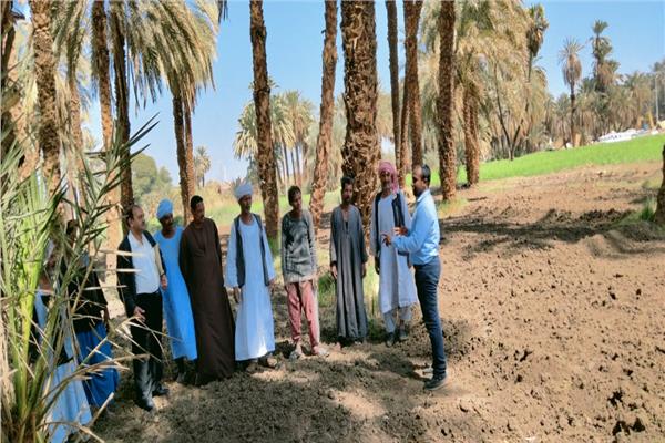 موضوعية