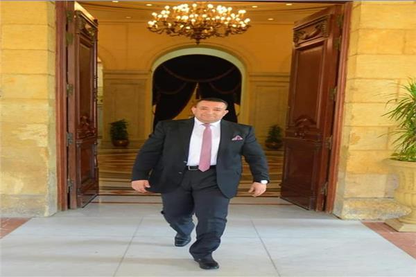 تامر عبدالقادر عضو مجلس النواب