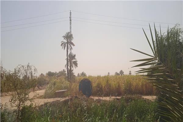 صورة موضوعية