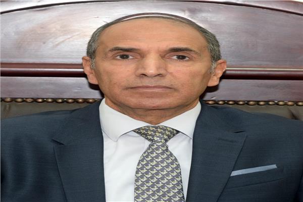 المستشار محمد أحمد عطية رئيس المحكمة