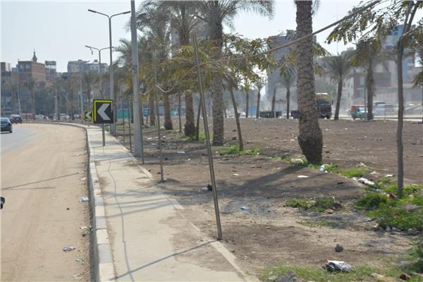 صورة موضوعية