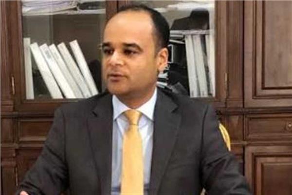 السفير نادر سعد المتحدث باسم مجلس الوزراء