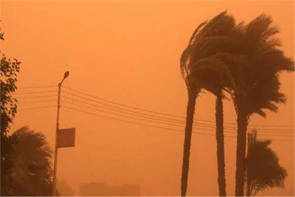 صورة موضوعية 