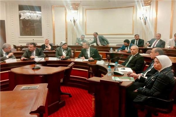 رئيس جامعة طنطا أمام لجنة المشروعات الصغيرة بمجلس النواب